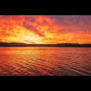 Meet your Posher, Bertha